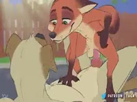 Furry zoo porn with fox and dog having sex
